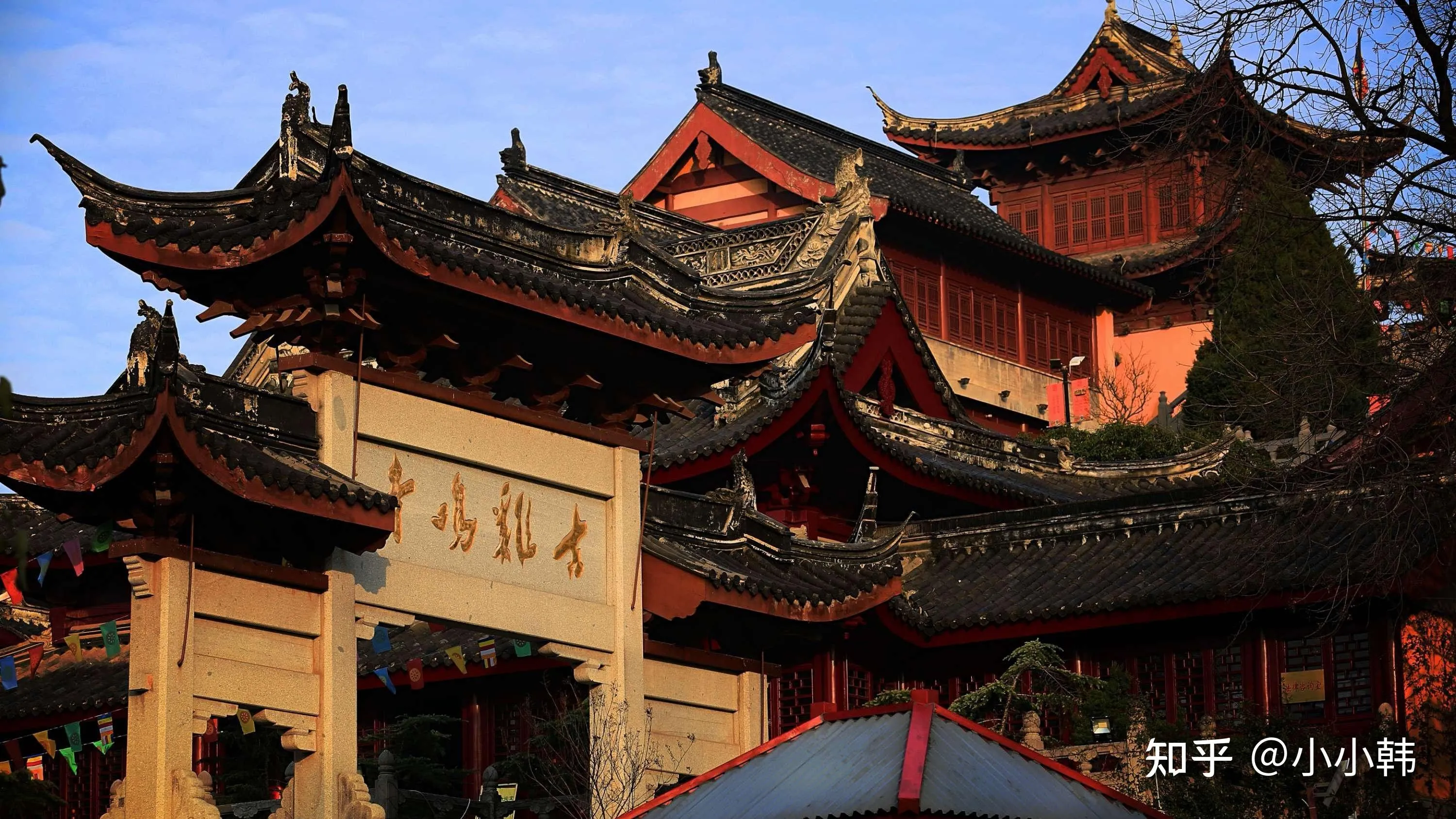 南京十大必游景点(南京十大必游景点排名)