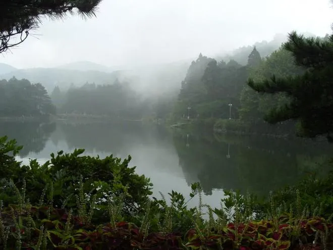 婺源三清山门票多少钱(婺源三清山门票多少钱一张)