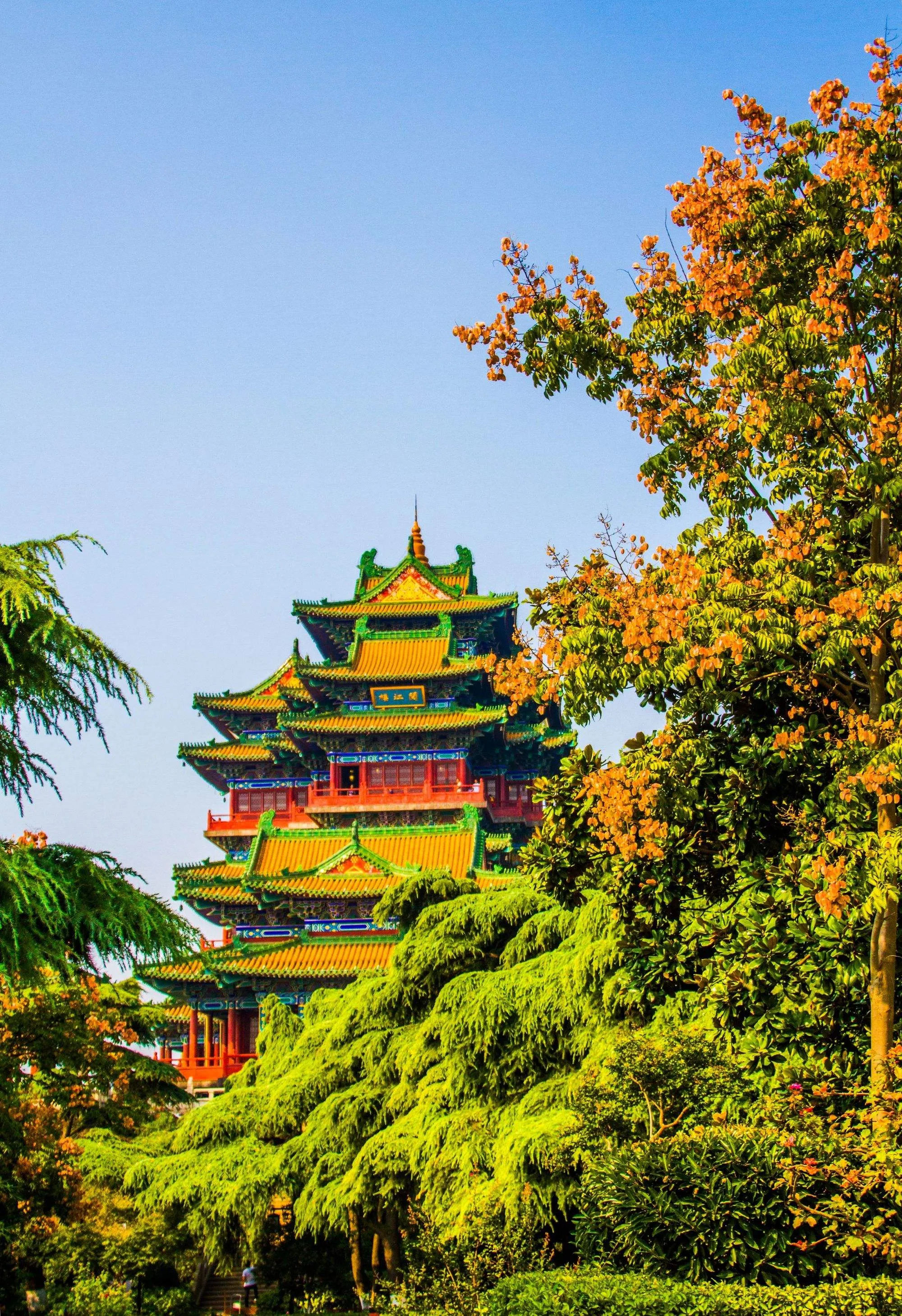 南京旅游必去景点(南京旅游必去景点介绍)