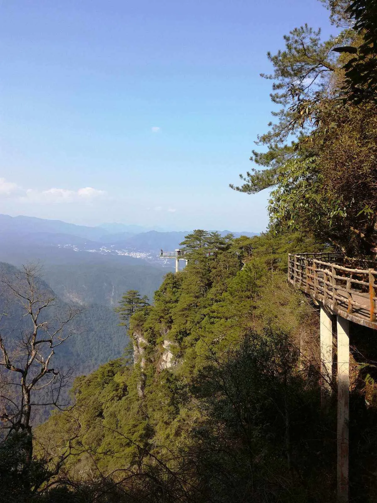 去井冈山旅游要爬山吗(去井冈山旅游要核酸检测吗)