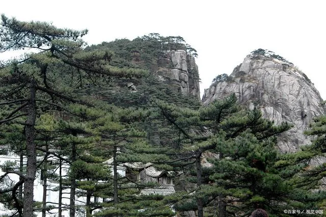 黄山旅游一日游(黄山旅游一日游南大门上下攻略)