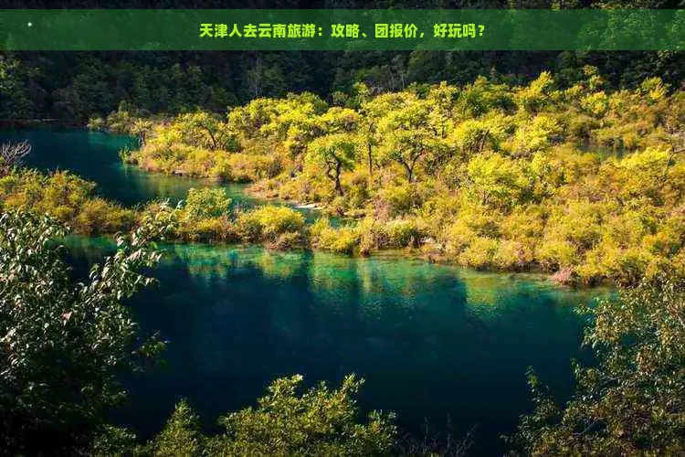 云南旅游报价(云南旅游报价一览表)