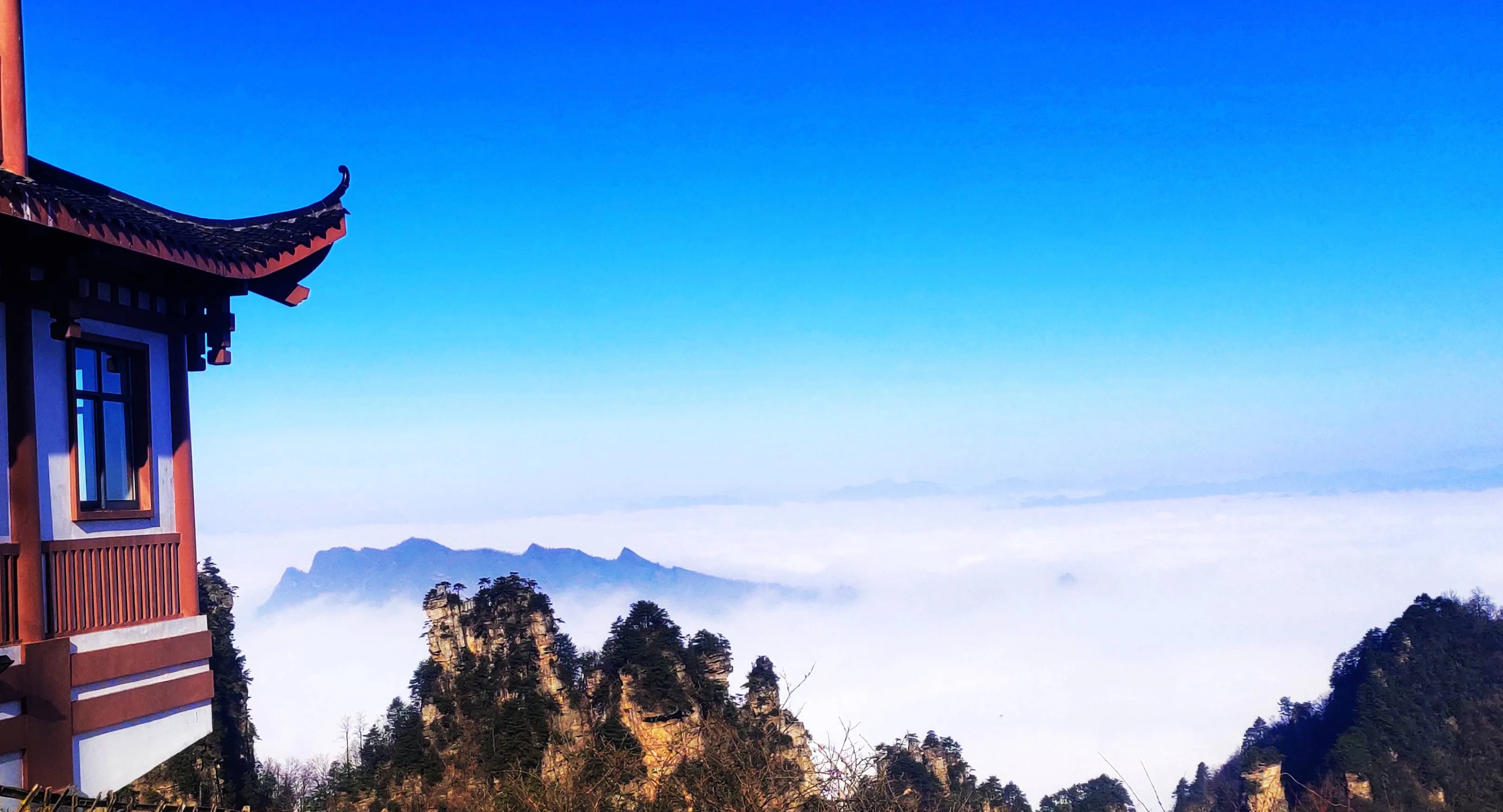 11月到张家界天子山旅游(从张家界天子山进去游玩路线)