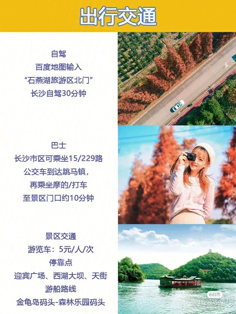 长沙旅游自由行5天攻略(长沙旅游自由行5天攻略图)