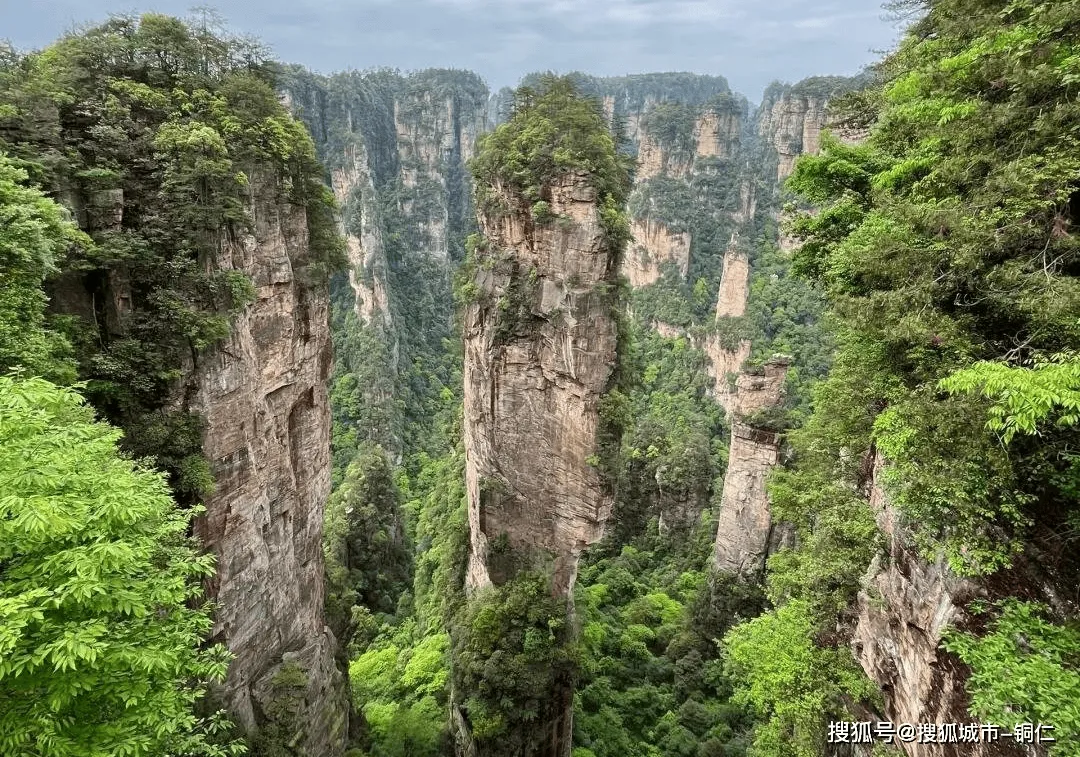 张家界张家界三天旅游(张家界旅游攻略自由行三天多少钱)