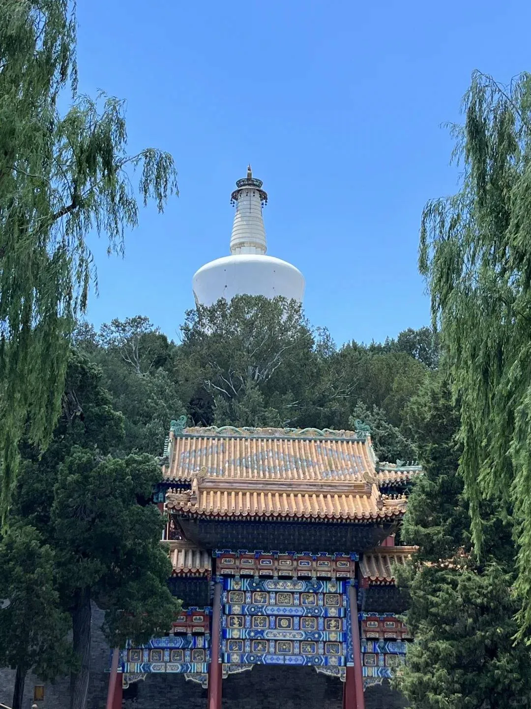 长沙市市区旅游攻略(长沙市市区旅游攻略一日游)
