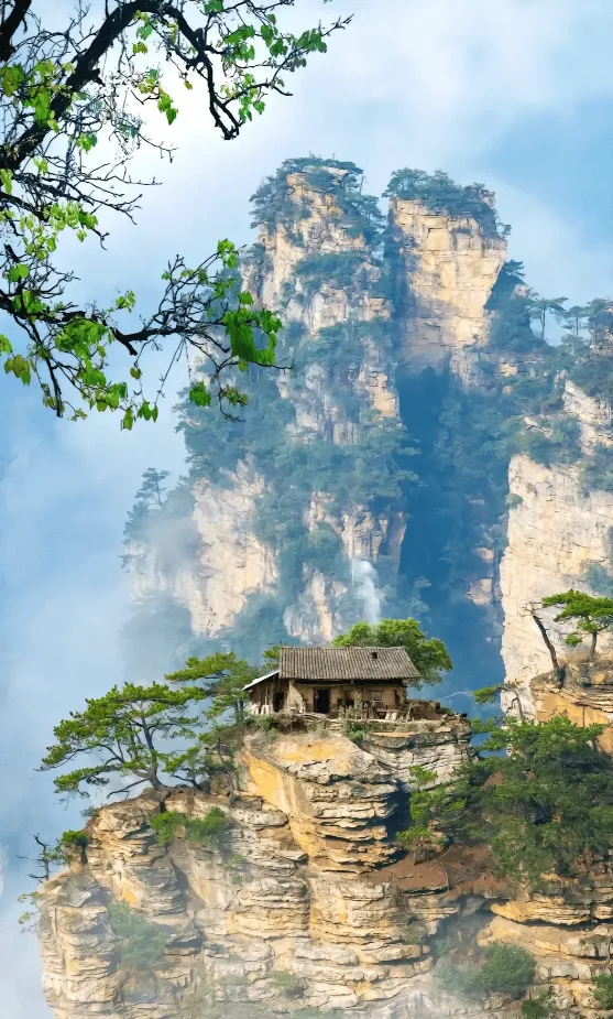 去张家界省旅游(去张家界省旅游路线)