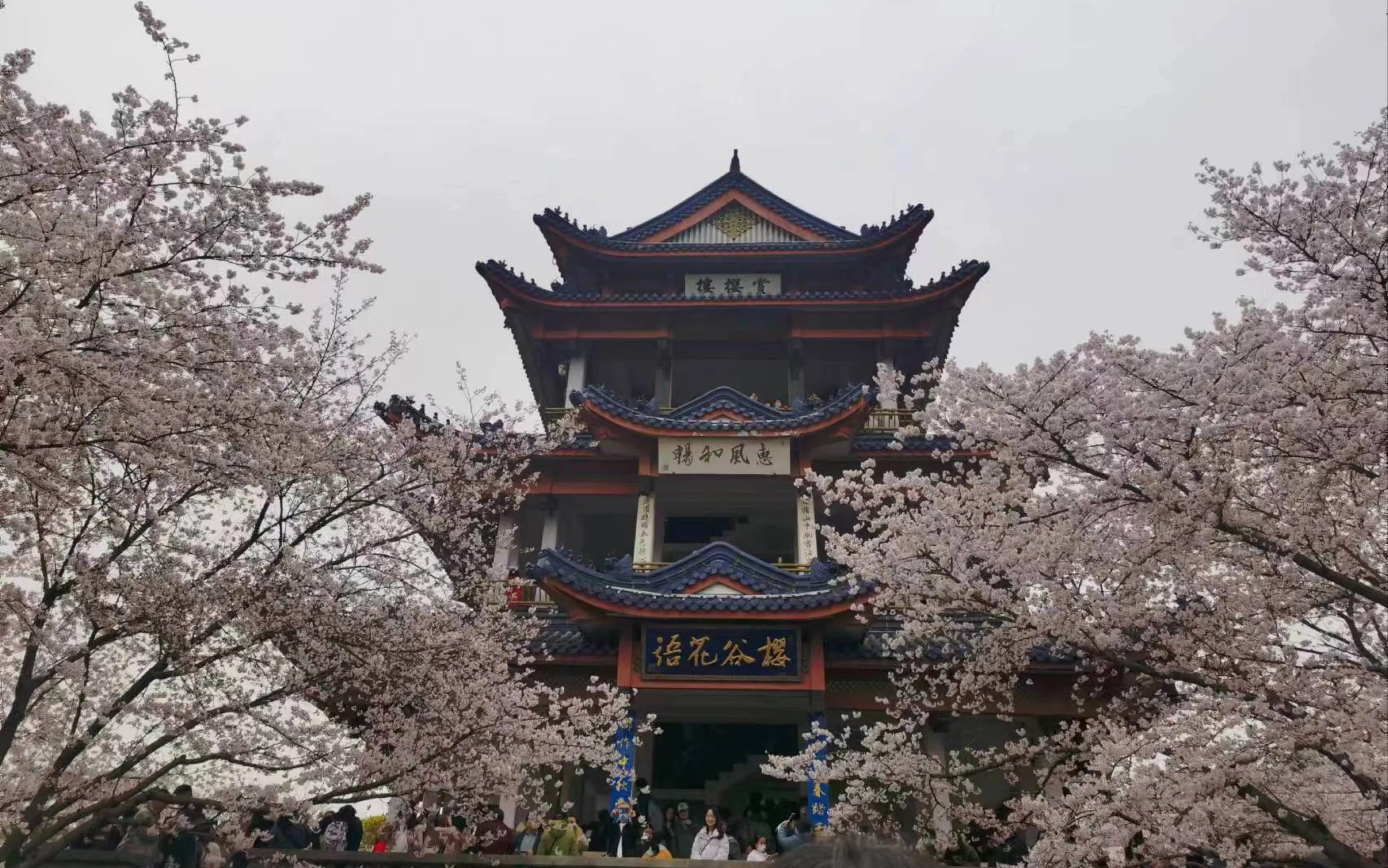 苏州无锡三日游攻略(苏州无锡三日游攻略路线)