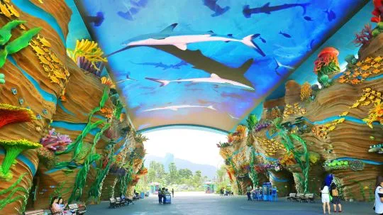 长隆海洋王国游玩路线(长隆海洋王国的旅游攻略)