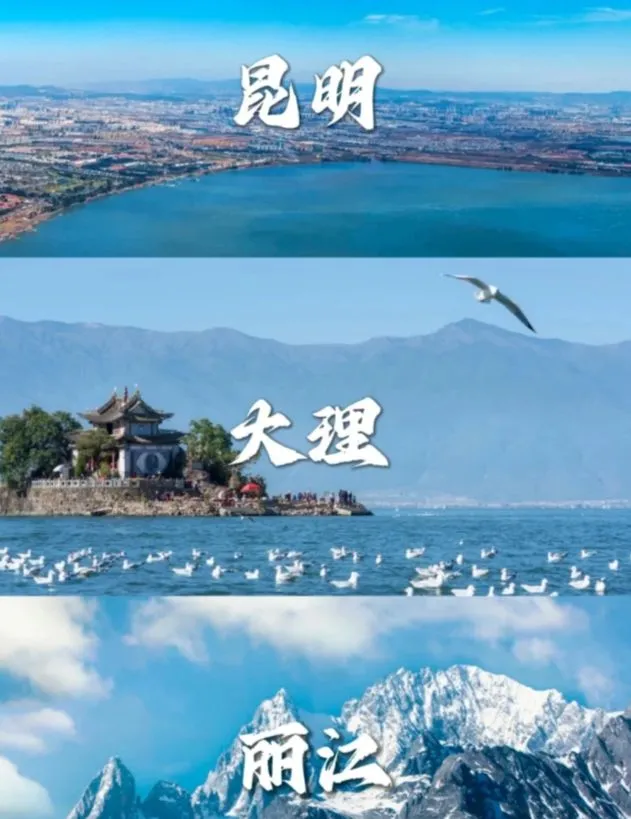 报团云南五日游多少钱(云南旅游团5日游报价是多少)
