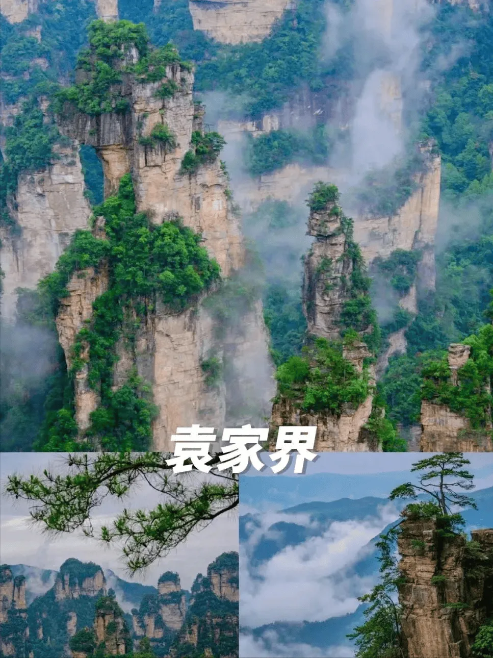 张家界天门山到凤凰古城怎么去最方便(张家界天门山到凤凰古城怎么去最方便呢)
