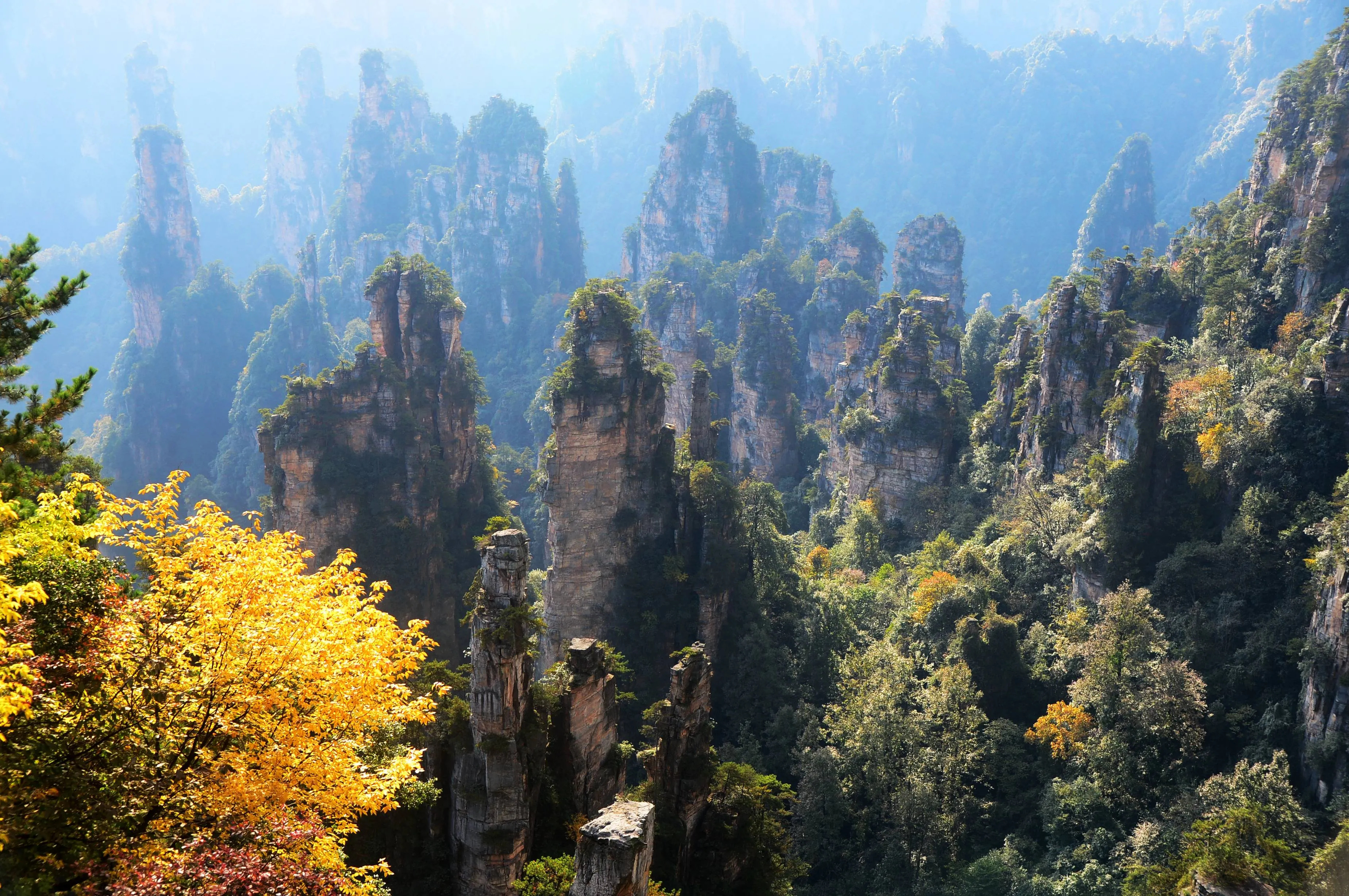 湖南张家界冬天去玩合适吗(张家界冬季旅游攻略自由行三天)