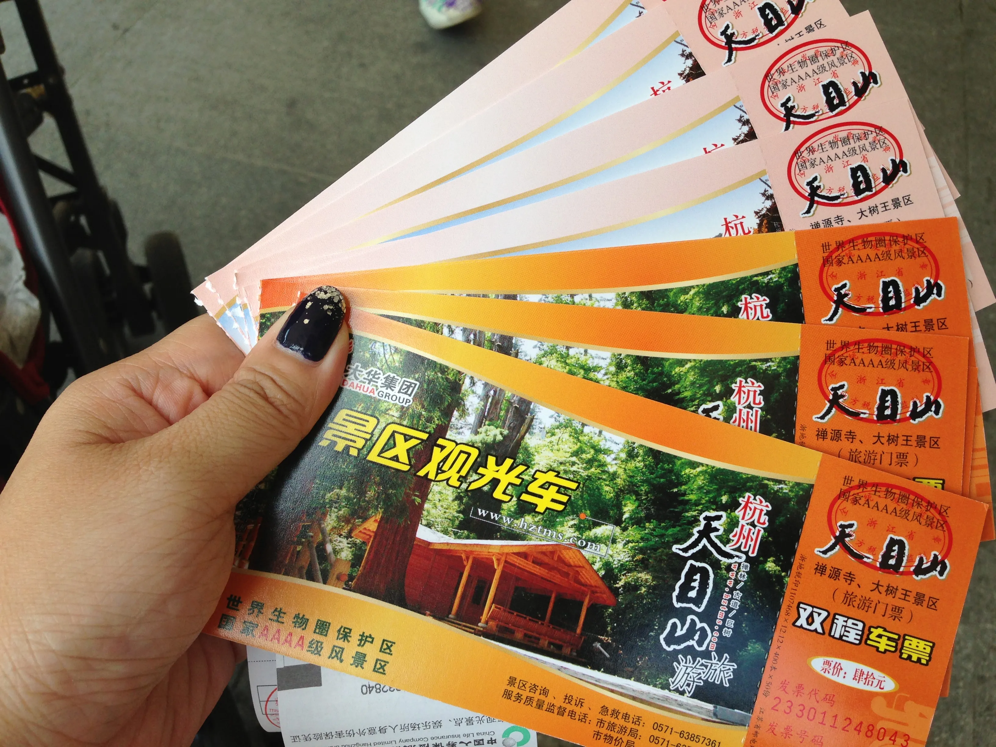 杭州景点门票预订(杭州景点门票预订app)
