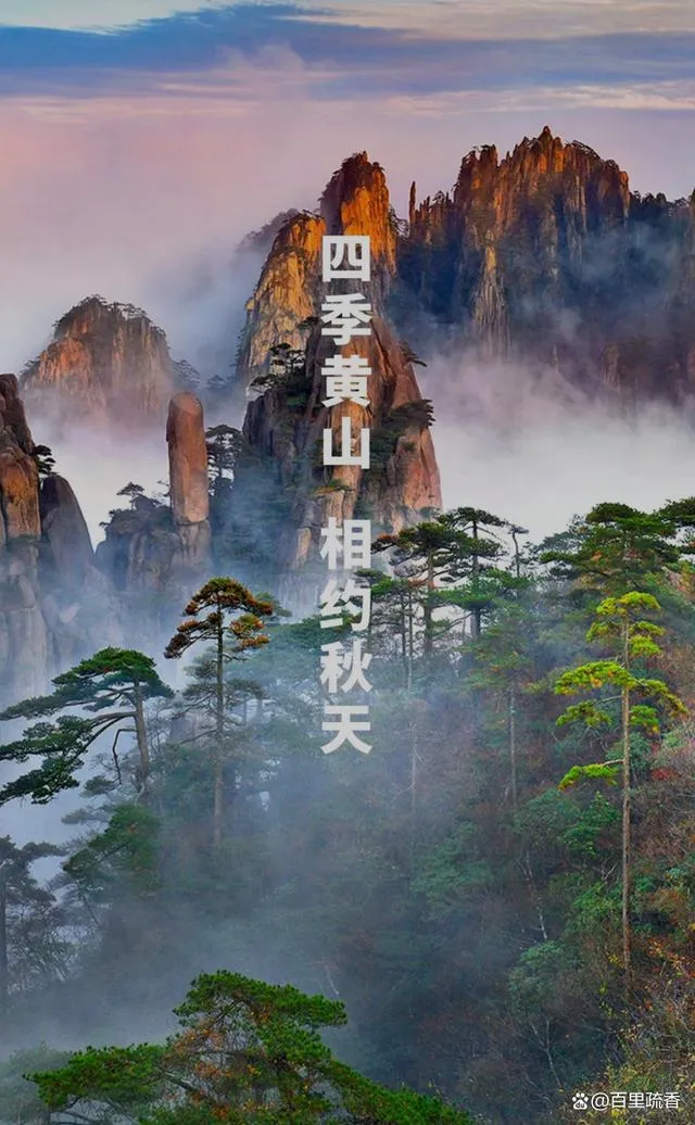 黄山旅游官网(黄山旅游官网预约)