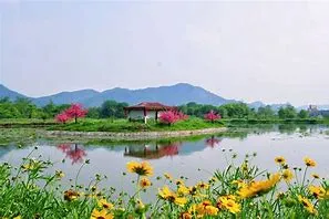 广东有哪些旅游景点(广东有哪些旅游景点有表演节目)