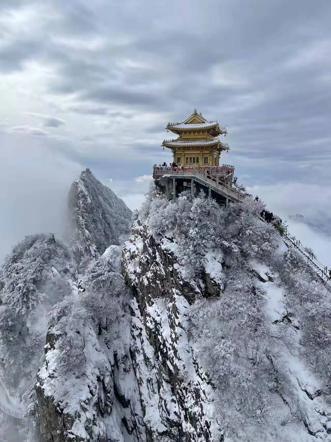 河南洛阳老君山(河南洛阳老君山风景区)