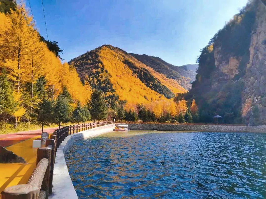 武山旅游景点有哪些(武山旅游景点有哪些好玩的)