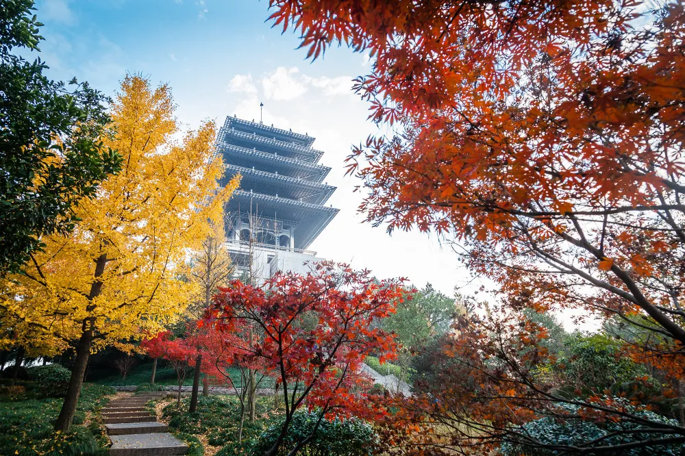 杭州临平旅游景点(临平旅游景点排名前十)