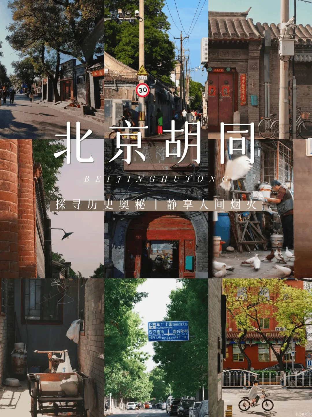 北京一日游攻略自由行(北京一日游攻略自由行有山有水)