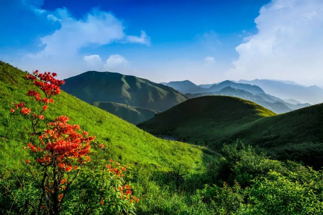 武功山景区介绍(武功山景区介绍文字)
