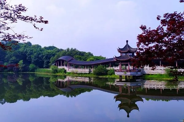 长沙必去的地方一日游(长沙必去的地方一日游有哪些)