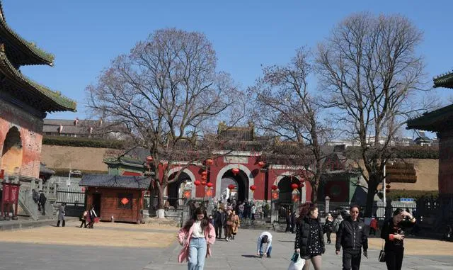 南阳到武当山一日游(南阳到武当山的旅游团)