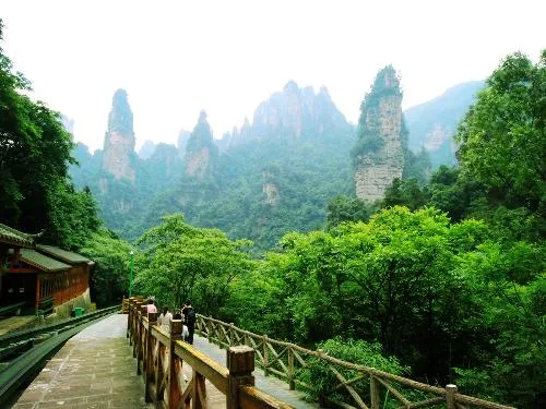 张家界有哪旅游(张家界哪些旅游景点)