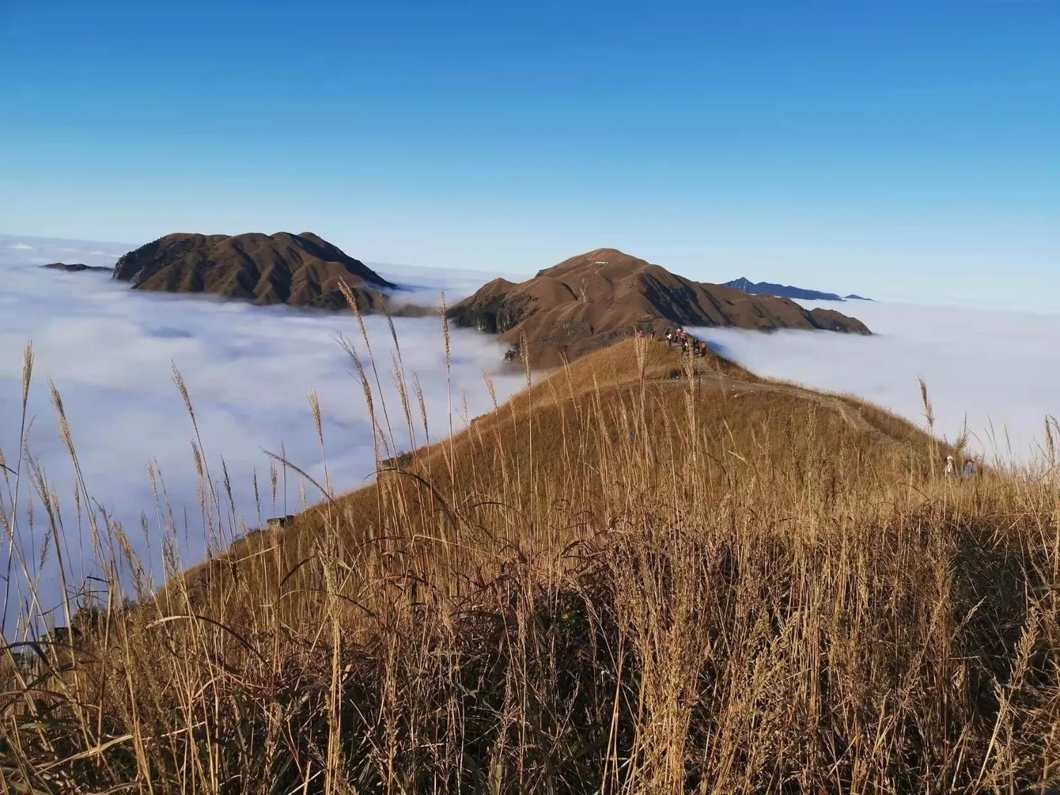 武功山旁边的旅游景点(武功山旁边的旅游景点有哪些)