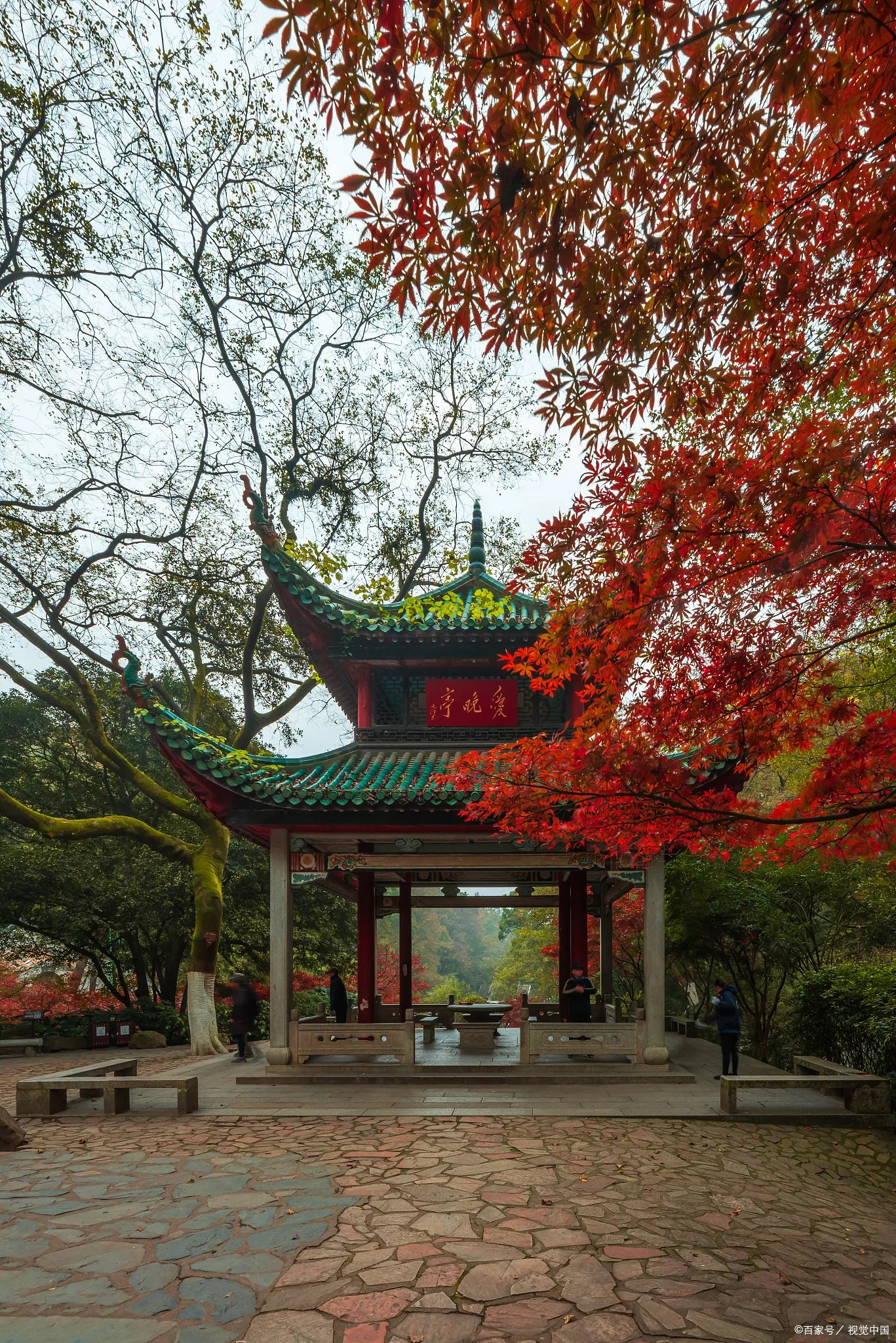 长沙十大旅游景点(长沙十大旅游景点大全排名)
