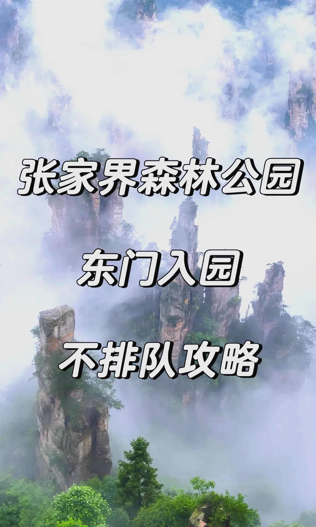 张家界森林公园玩攻略(张家界森林公园攻略2天)