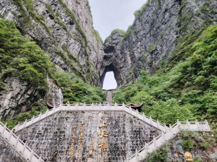 张家界天门山学生票(张家界天门山学生票查得严吗)