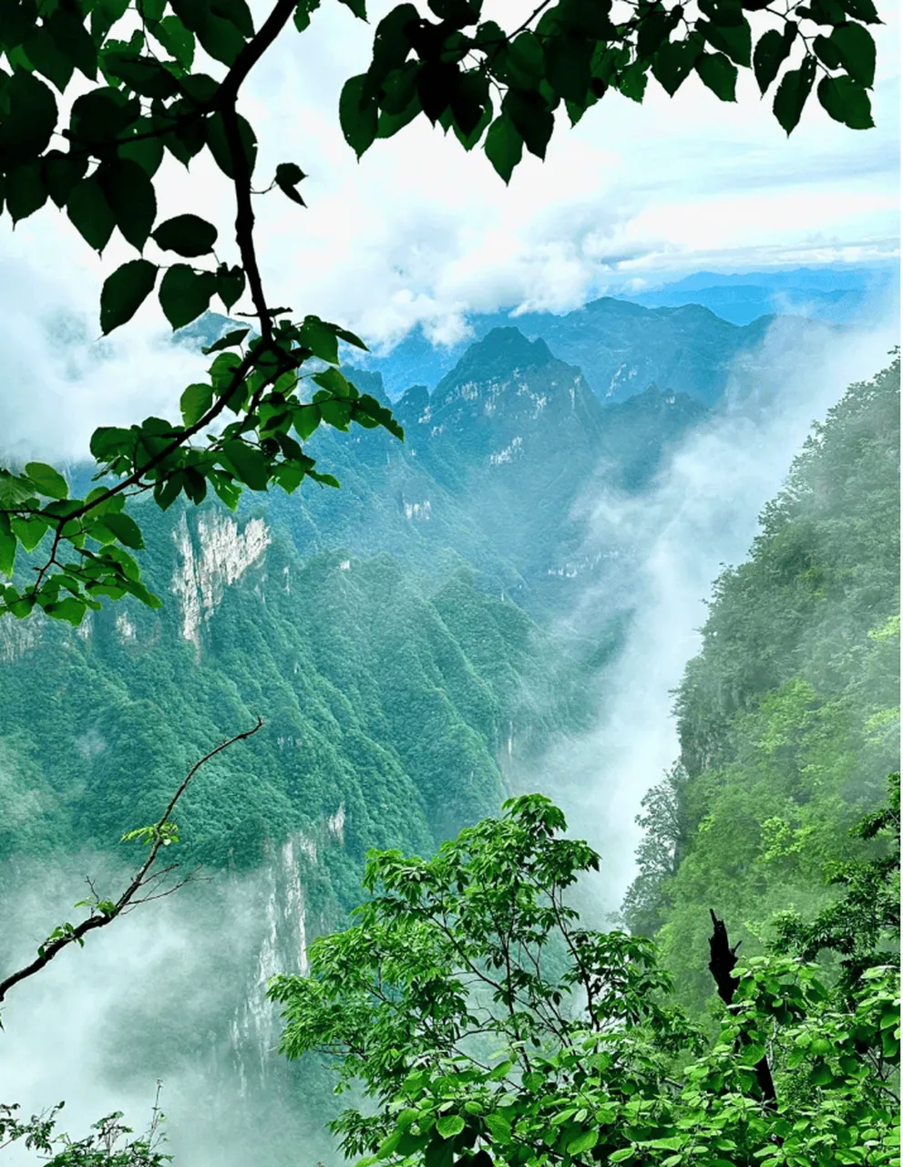 张家界天门山旅游攻略(张家界天门山旅游攻略自驾游)