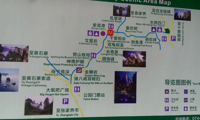到张家界旅游主要线路(到张家界自由行的旅游攻略)