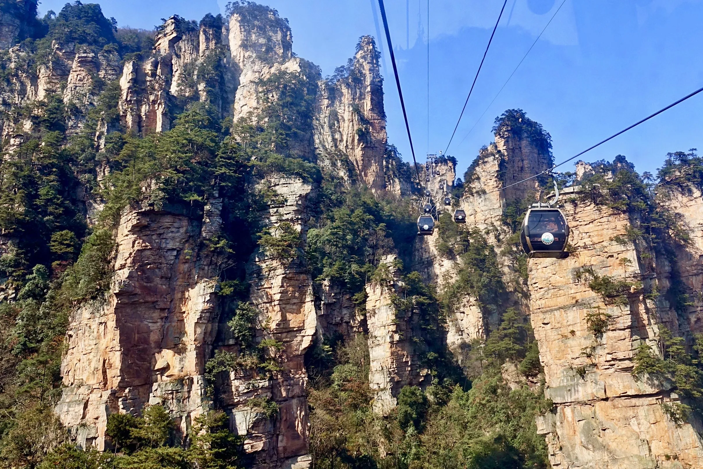 张家界旅游哪些(张家界旅游哪些景点要门票)