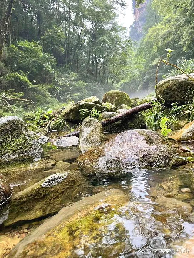 张家界的天门山海拔多少米(张家界天门山海拔多少米!最高峰是哪里)