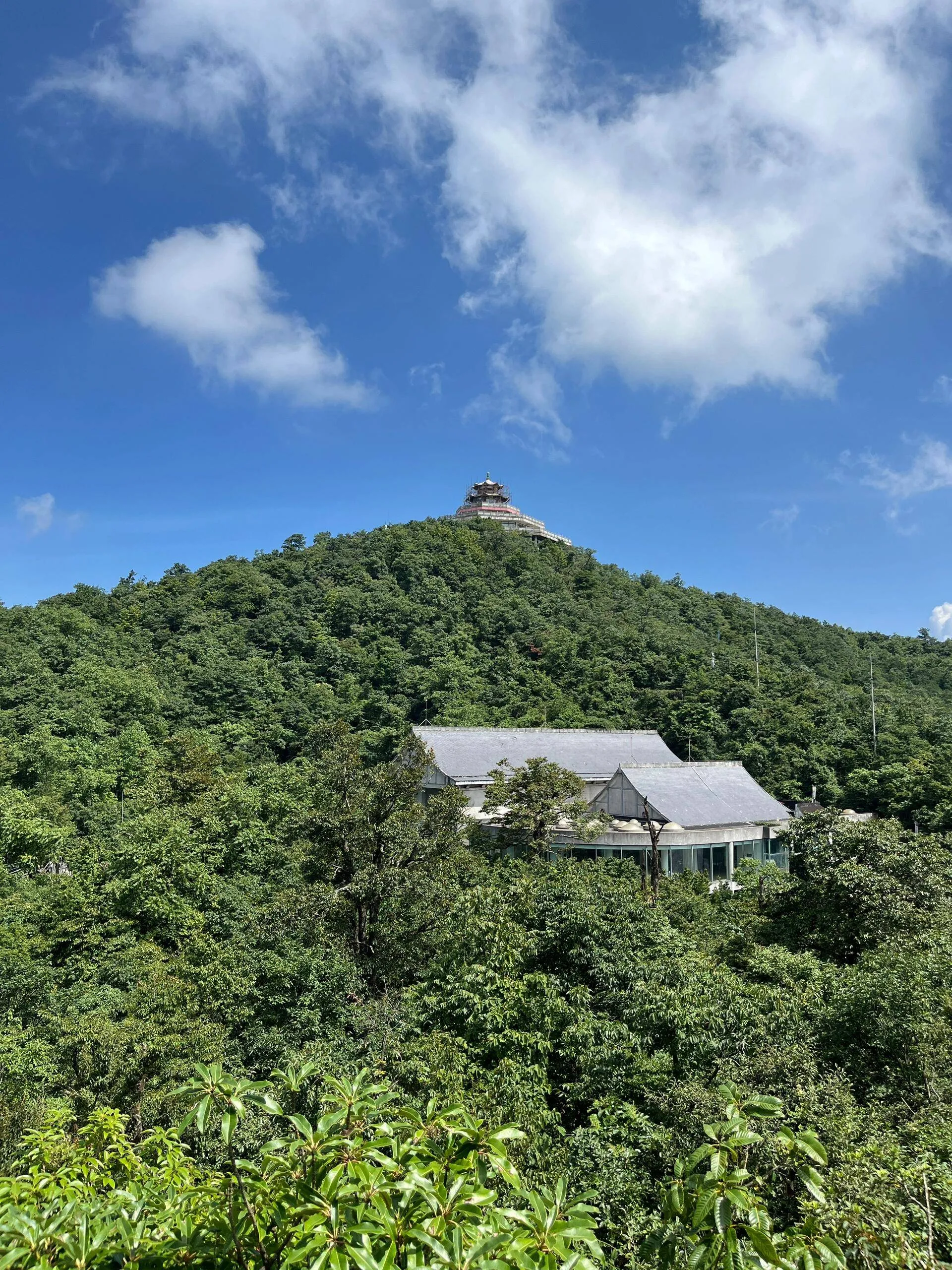 从合肥到张家界旅游攻略(从合肥到张家界旅游攻略路线)