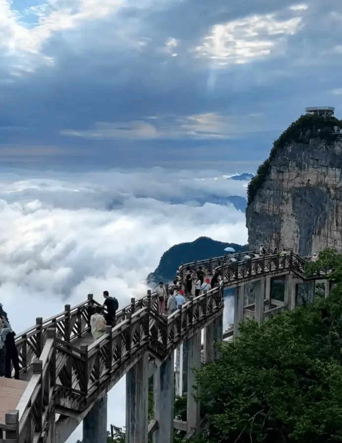 推荐张家界旅游(推荐张家界旅游的理由)