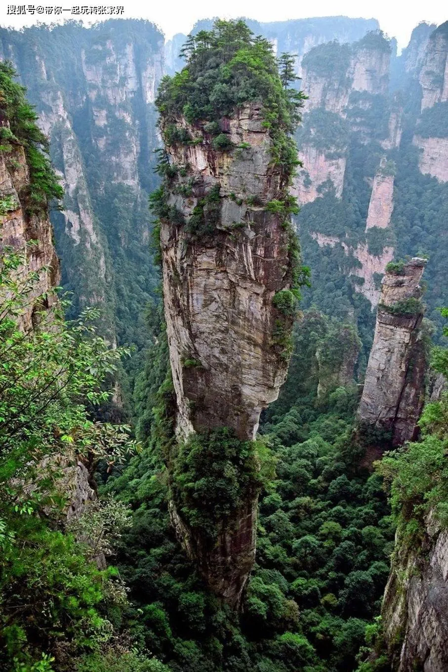 张家界天门山景区军人免票吗(2020年张家界天门山门票免票政策)