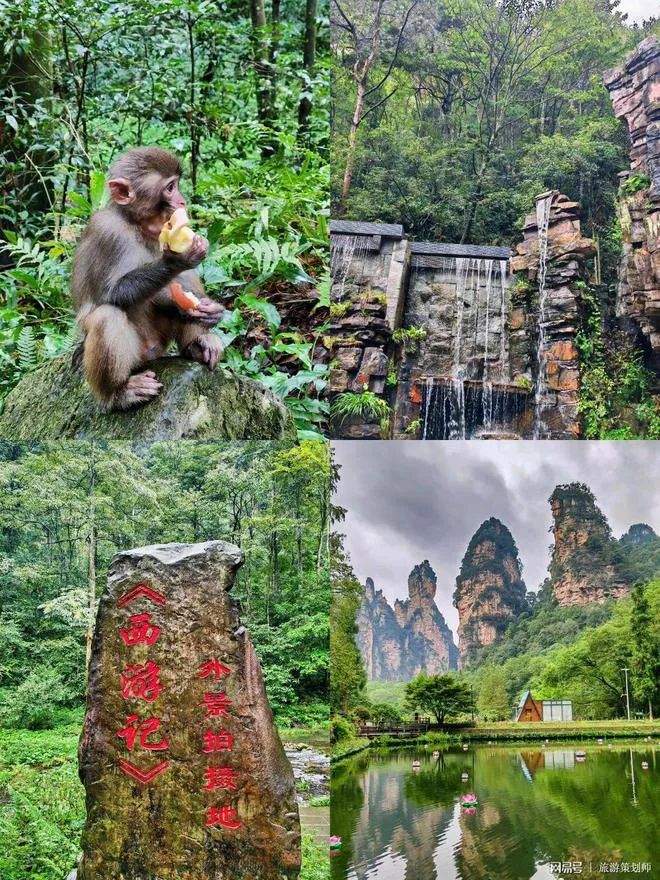 张家界市张家界旅游攻略(张家界旅游攻略自由行攻略)