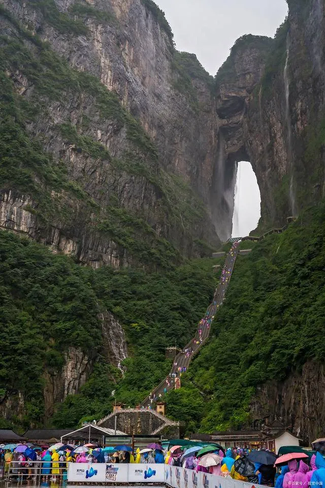 旅游旅游张家界(张家界旅游690元)