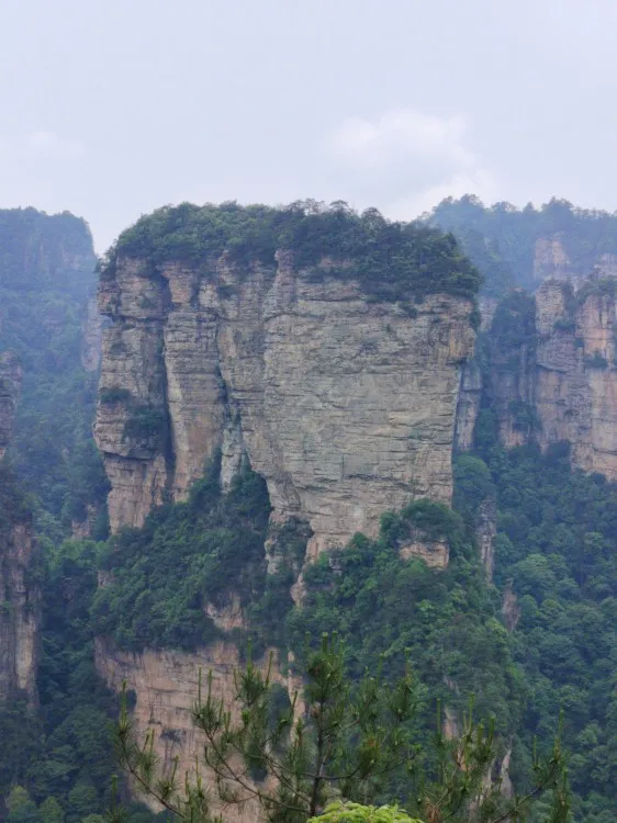 广州至张家界自由行旅游攻略(广州至张家界自由行旅游攻略路线)