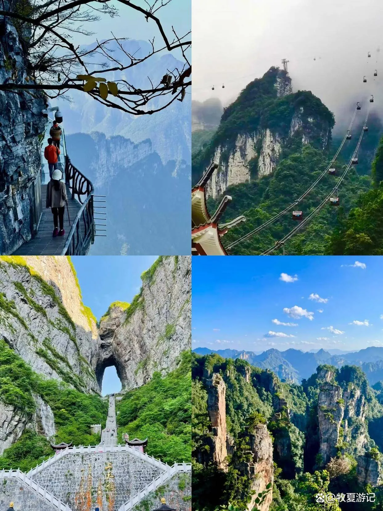 张家界旅游旅游游记(张家界旅游旅游游记600字)