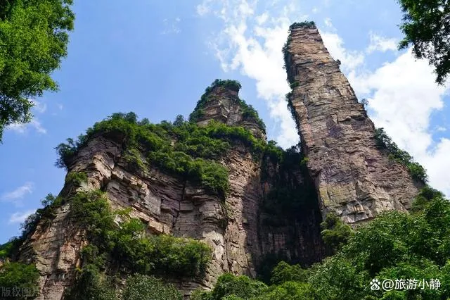 旅游旅游张家界张家界(旅游景点张家界旅游线路报价)