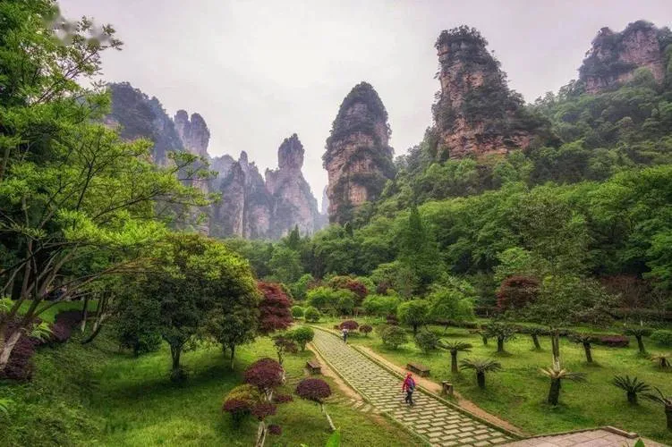 张家界旅游的点(张家界旅游点门票价多少线)