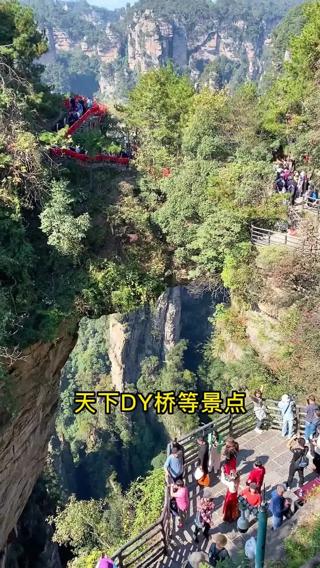 张家界一天玩的玩吗(张家界一天可以玩几个景点)
