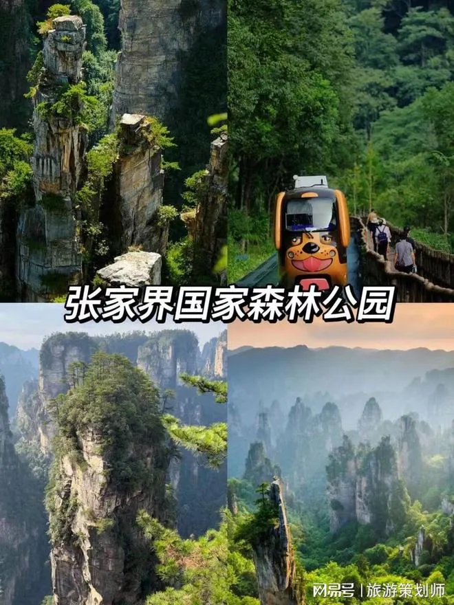 5月份张家界旅游攻略(5月份张家界旅游攻略图)