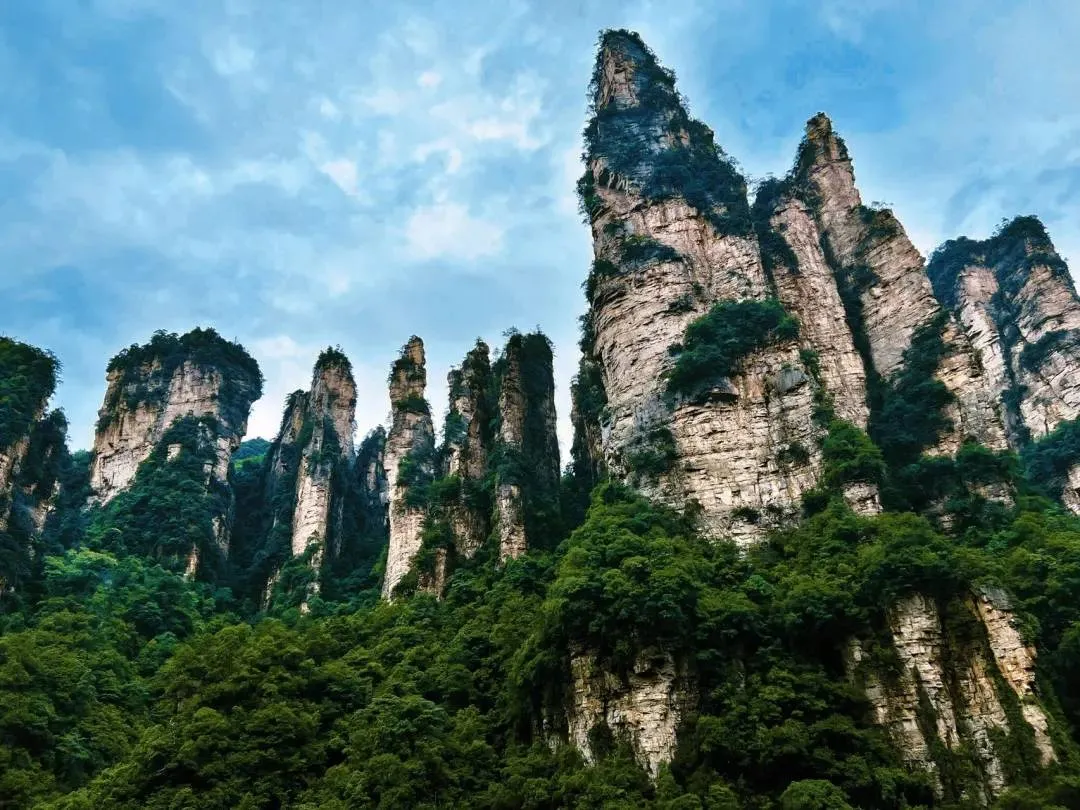 参加张家界旅游(参加张家界旅游英语作文)