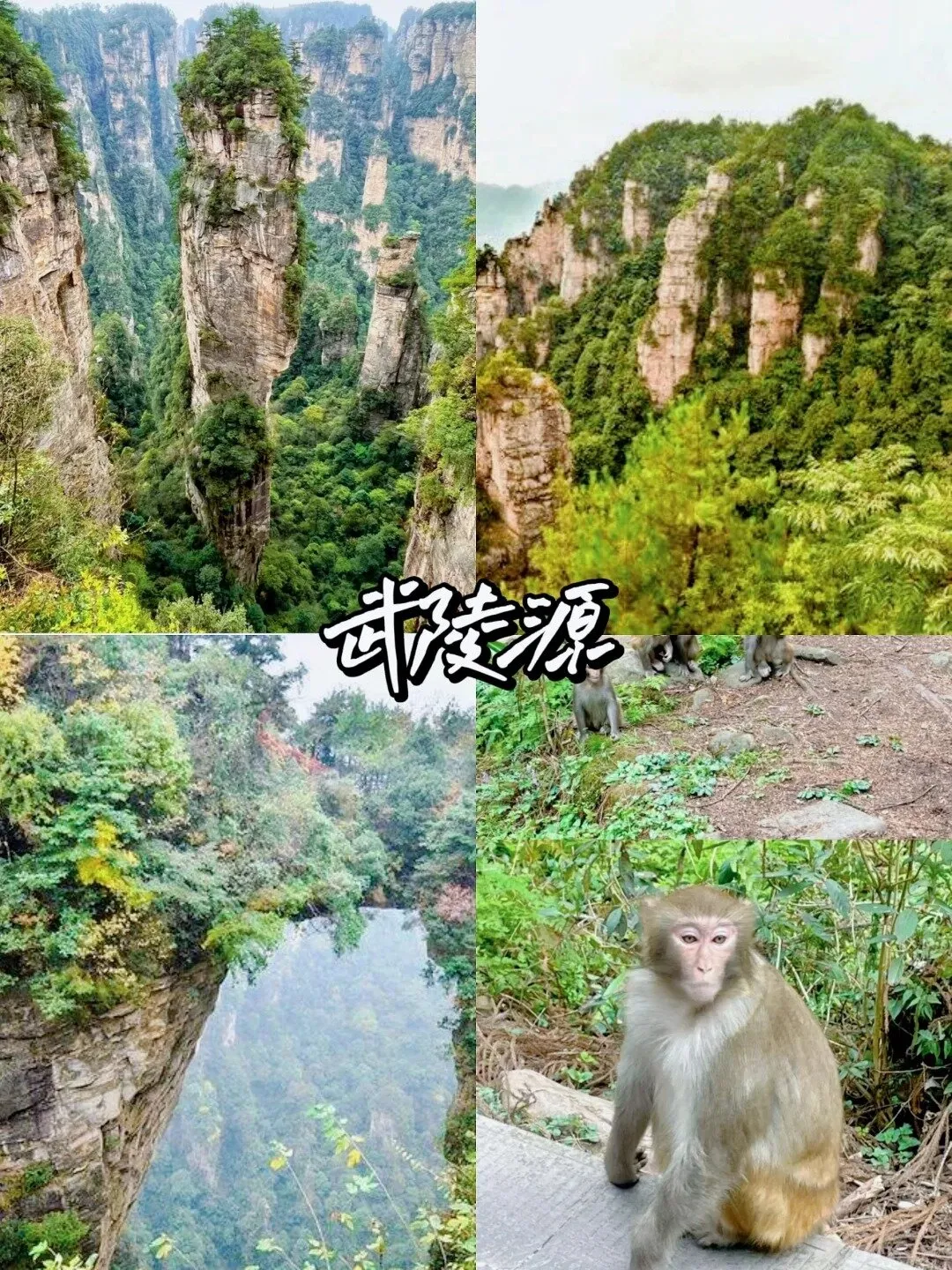 张家界一天玩的玩吗(张家界一天可以玩几个景点)