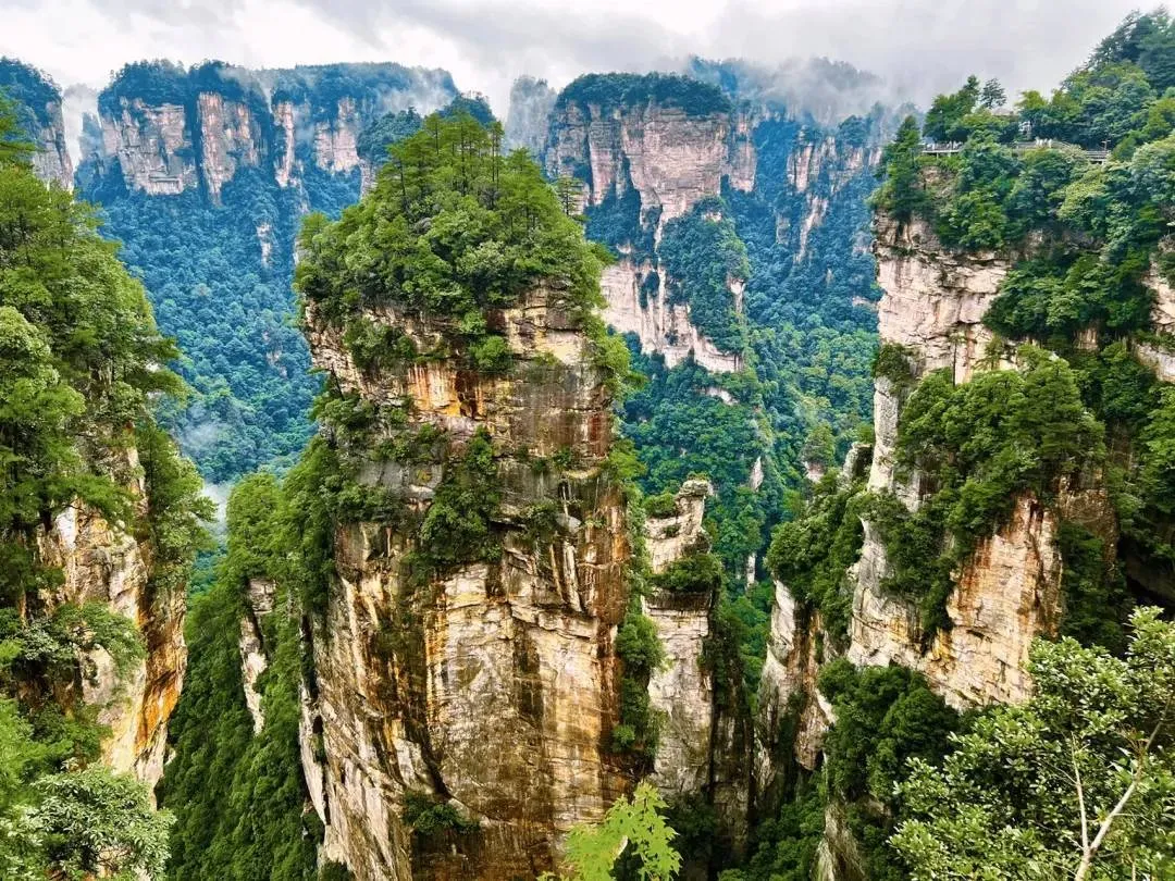 旅游张家界(旅游张家界大概多少钱)