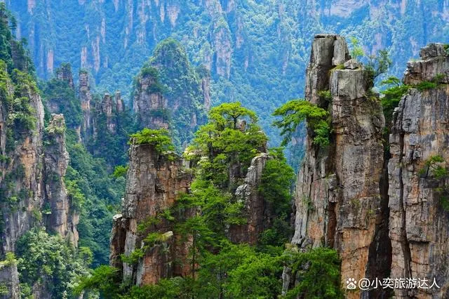 到张家界玩旅游(去张家界旅游攻略及费用)